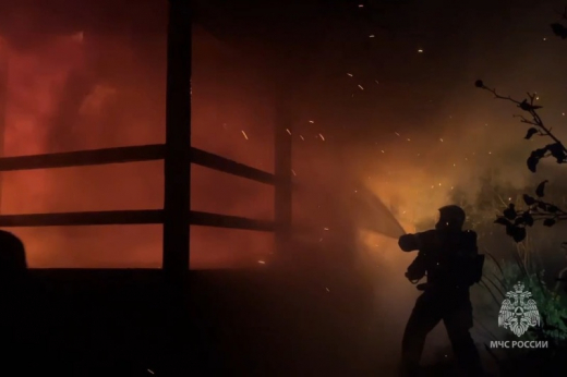 О складывающейся обстановке с пожарами: как прошли первые дни январских праздников