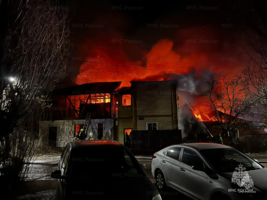 На пожарах в Воронеже погибли мужчина и женщина