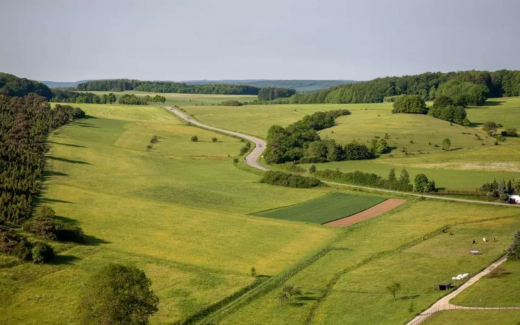 Структура Виталия Польщикова получит 56 га земли под Воронежем для агроиндустриального парка