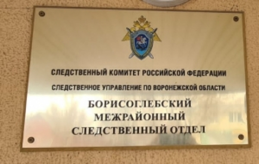 Следователями СК организована проверка по сообщению в соцмедиа об аварийном состоянии дома в городе Борисоглебске
