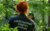 В Одинцово оглашен приговор мужчине, признанному виновным в умышленном причинении тяжкого вреда здоровью