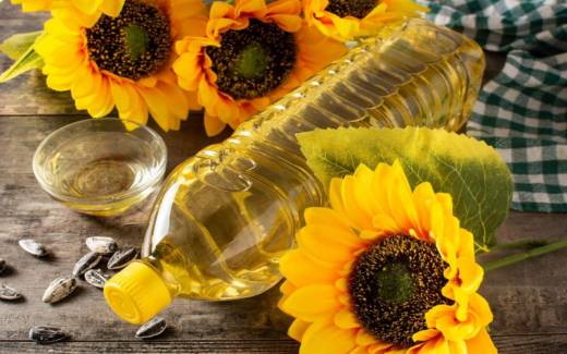 Инвестиции бизнесмена Будагова в орловские проекты выросли до 5 млрд рублей