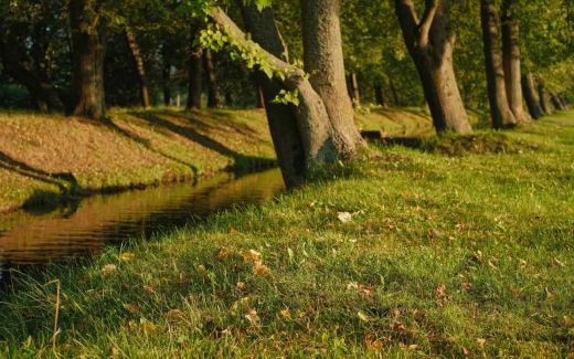 Инвестиции в воронежский парк «Танаис» выросли почти вдвое