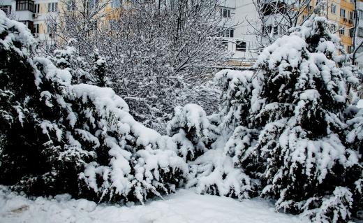 Тишковец: Снежный армагеддон ожидается в Московском регионе 9 января