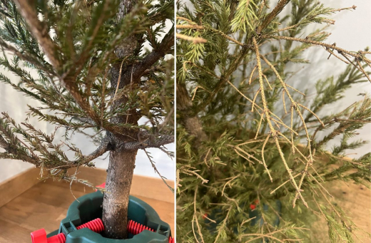 Воронежцы жалуются на ёлки, которые осыпались за несколько часов