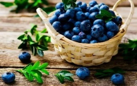 «Магнит» купил кубанскую голубичную ферму и вложит в ее развитие 1,4 млрд рублей