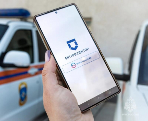 В работу МЧС России внедрено мобильное приложение «Инспектор»