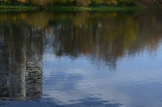 В Воронежской области иномарка вылетела с дороги и съехала в пруд