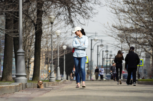 Синоптик Позднякова: Май и июнь в Москве будут на 1-2 градуса теплее нормы