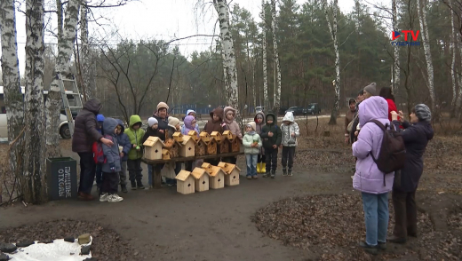 «Жилфонд» Воронежа пополнился десятками новых скворечников