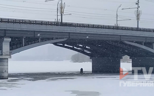 Рыбака-камикадзе заметили на Воронежском водохранилище