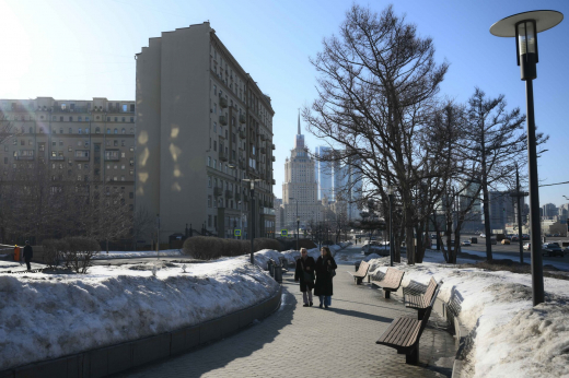 Тишковец: Снежный покров в Москве исчезнет на две недели раньше срока