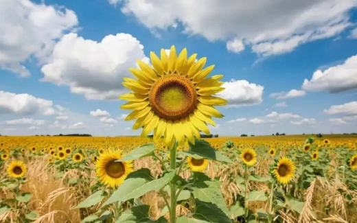 ГК «ЭФКО» рассказала «Абирегу» о ходе реализации инвестпроектов