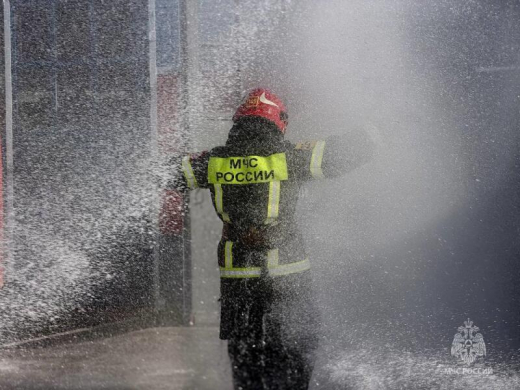 В Наро-Фоминске проводили на заслуженный отдых начальника пожарно-спасательной части
