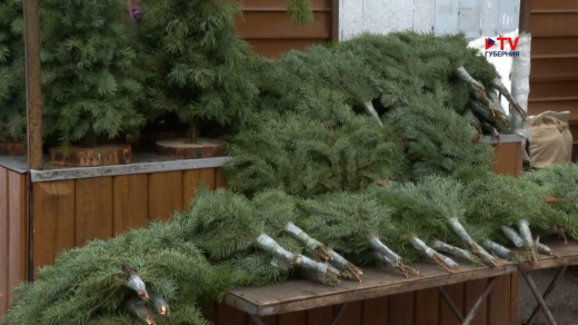 Губернские новости. 23.12.2025