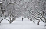 Синоптик Ильин не исключил, что Москву накроет мощный снежный циклон 24 ноября