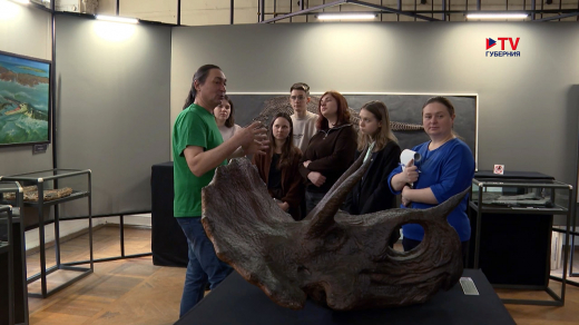 В Воронеже открылась выставка «Древняя жизнь» с черепами динозавров, которым сотни миллионов лет