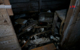УК пообещала привести в порядок воронежский дом с нечистотами и трупами животных в подвале