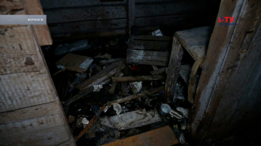 УК пообещала привести в порядок воронежский дом с нечистотами и трупами животных в подвале