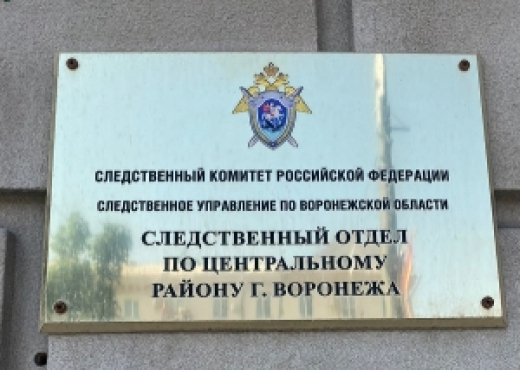 Завершено расследование уголовного дела в отношении несовершеннолетнего и его брата, обвиняемых в краже в особо крупном размере
