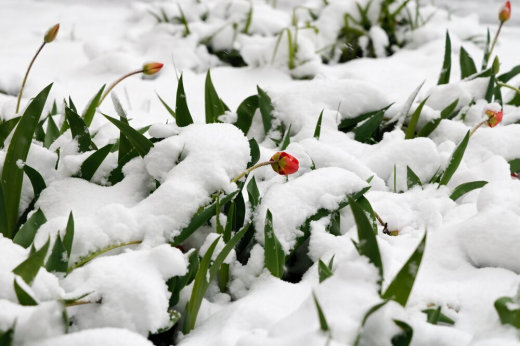 «Роскосмос» опубликовал фото заснеженной Москвы из космоса
