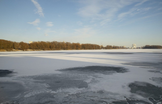 Воронежские спасатели рассказали, как погиб провалившийся под лёд мальчик