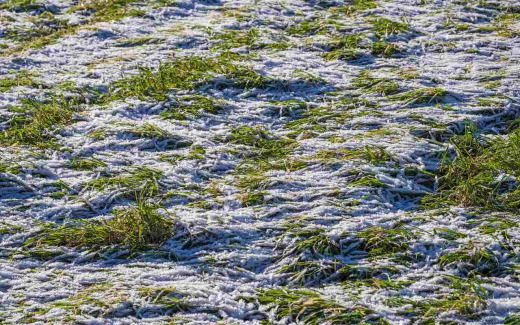 «Продимекс» завершает подготовку к сельхозсезону: оптимистичные прогнозы по озимым и инновационные технологии