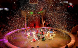 «Счастливый билет»: в Воронеже начались гастроли знаменитого итальянского цирка династии Тогни