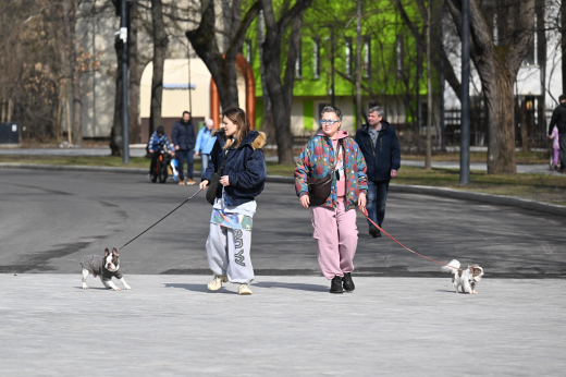 Синоптик Леус: Тепло вернется в Москву в среду