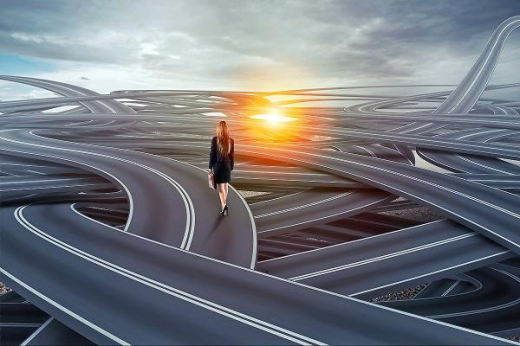 Не выходит каменный цветок: российские корпорации сломали зубы о самодельные ERP-системы