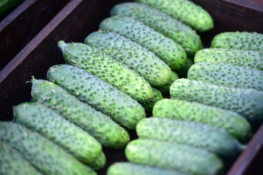 Москвич собрал для возлюбленной букет из четырех видов огурцов