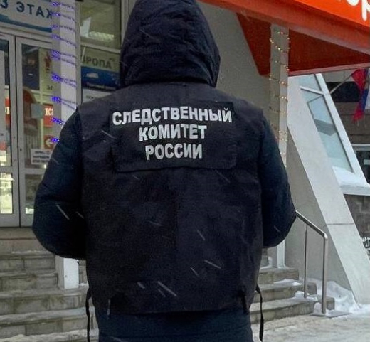 В Воронеже возбудили уголовное дело после падения сосулек на ребёнка-инвалида и его маму