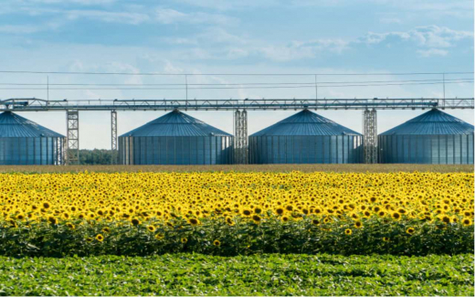 Встречный иск «Благо-верхней Хавы» к тульской «Искре» на 101 млн рублей передан в суд Воронежской области