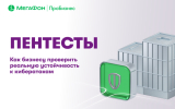 Пентесты: как бизнесу проверить реальную устойчивость к кибератакам