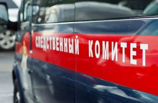 Педофил напал на мальчиков 6 и 8 лет в Воронежской области