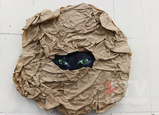 Бесконечность с пушистым хвостом: художники из Воронежа посвятили выставку котикам