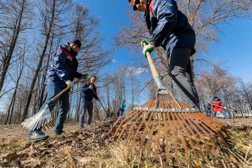 В Подмосковье пройдет субботник с участием ИИ