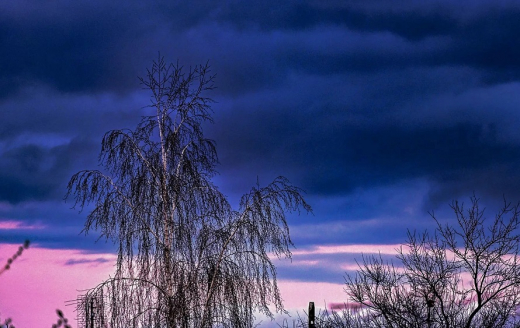Звуки взрывов раздались в Воронеже при угрозе удара БПЛА