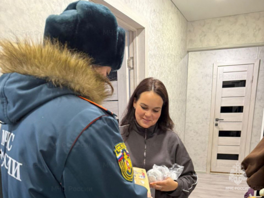 Пожарные  извещатели  вручаются многодетным семьям в Луховицах