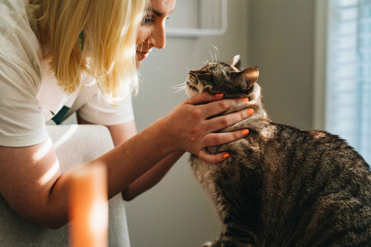 В Москве в марте актуальны вакансии мастера настроения и сиделки для кота