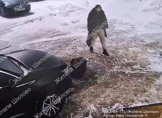 Упавший на льду воронежец выместил злость на чужом авто