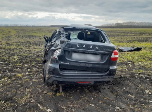 Водитель на «Ладе» вылетел в кювет и погиб на воронежской трассе