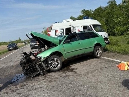 Два человека погибли из-за неудачного обгона на трассе в Воронежской области