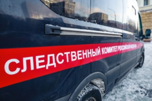 В городском округе Зарайск возбуждено уголовное по факту ДТП, в результате которого погиб ребенок, а также пострадали восемь человек