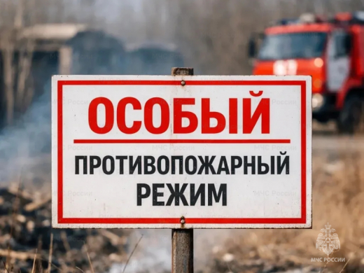 Особый противопожарный режим вводится с 20 апреля в Московской области