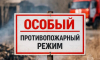Особый противопожарный режим вводится с 20 апреля в Московской области