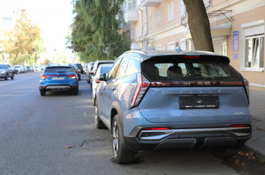 Бесплатную парковку в центре Воронежа получат водители на Новый год