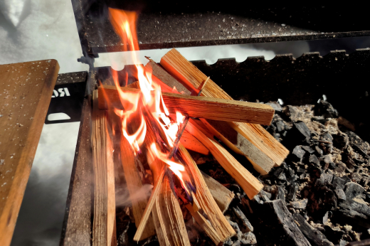 МЧС России: В Подмосковье запрещено жечь костры и разводить открытый огонь