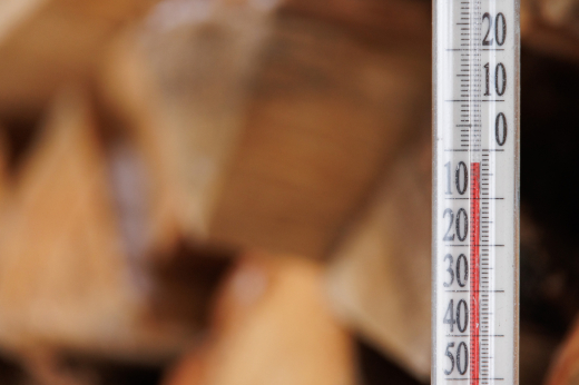 Гидрометцентр: В Москве ожидаются заморозки в последнюю ночь апреля