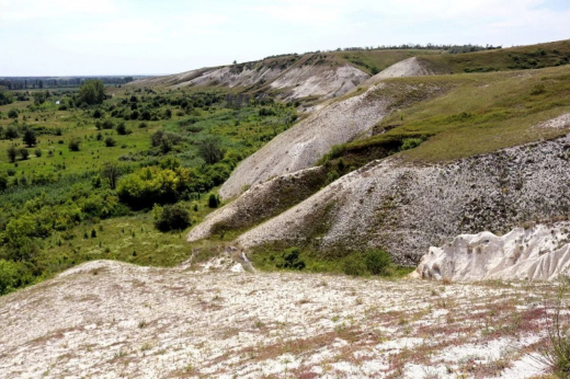Особо охраняемая природная территория может появиться на границе Воронежской области с ЛНР
